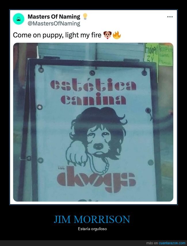doogs,estética canina,nombres,perros,the doors